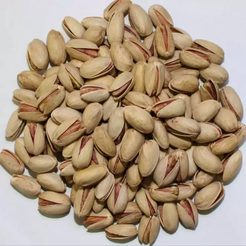 پسته اکبری امسالی دستچین یک کیلویی